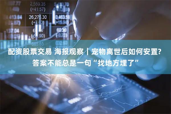 配资股票交易 海报观察｜宠物离世后如何安置? 答案不能总是一句“找地方埋了”